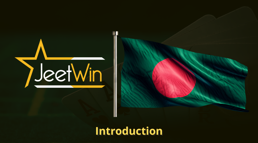 JeeTwin এজেন্টেসকৃত পণ্যের কি ধরনের শ্রেણી রয়েছে?